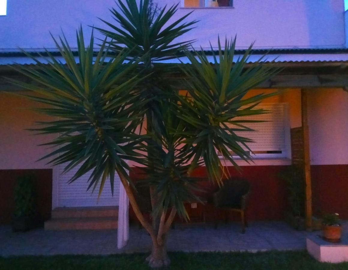 Casablanca El Petit Hotel Deltebre Exterior foto
